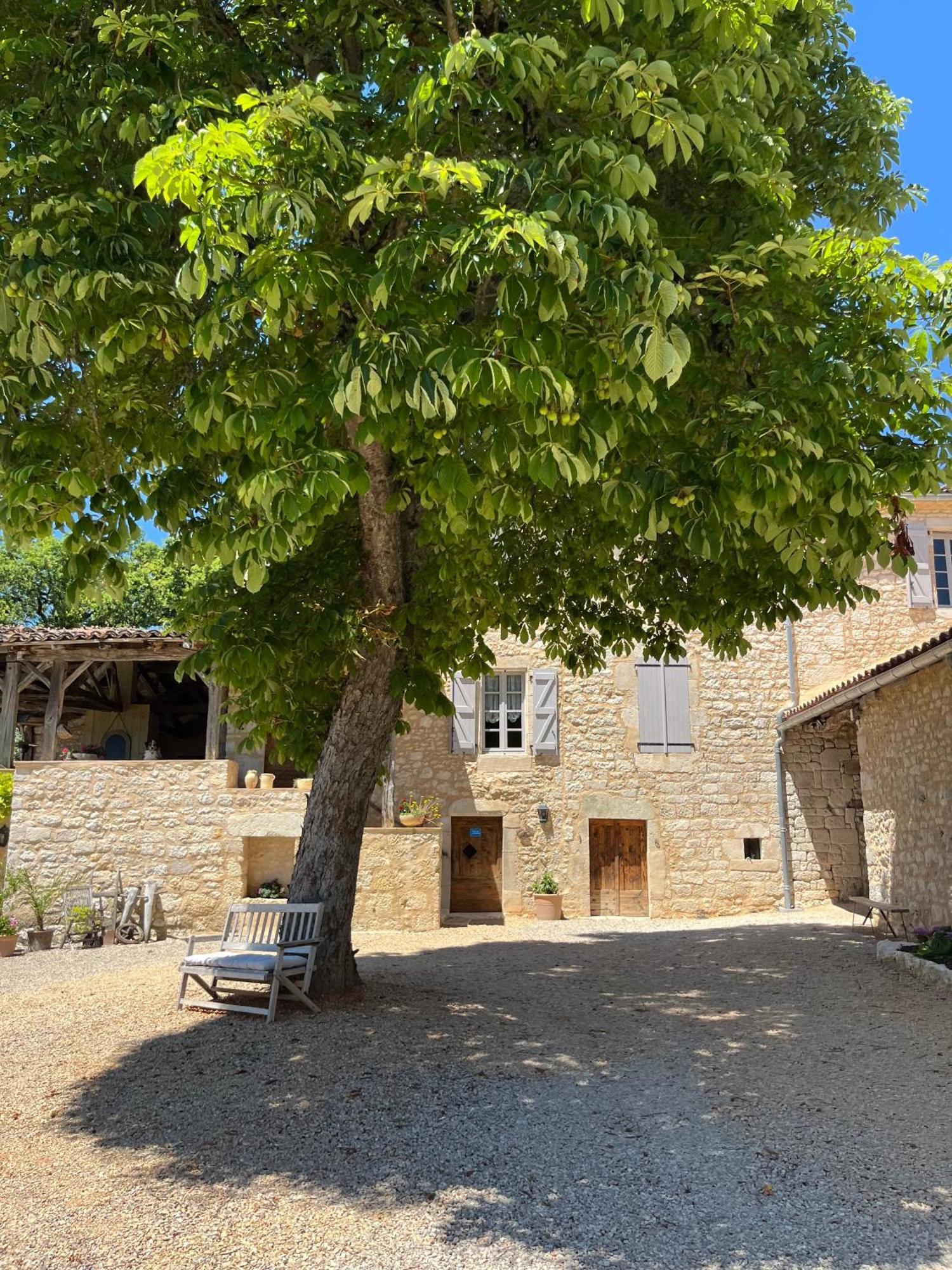 Maison D'Hotes De La Boissiere Andillac Buitenkant foto